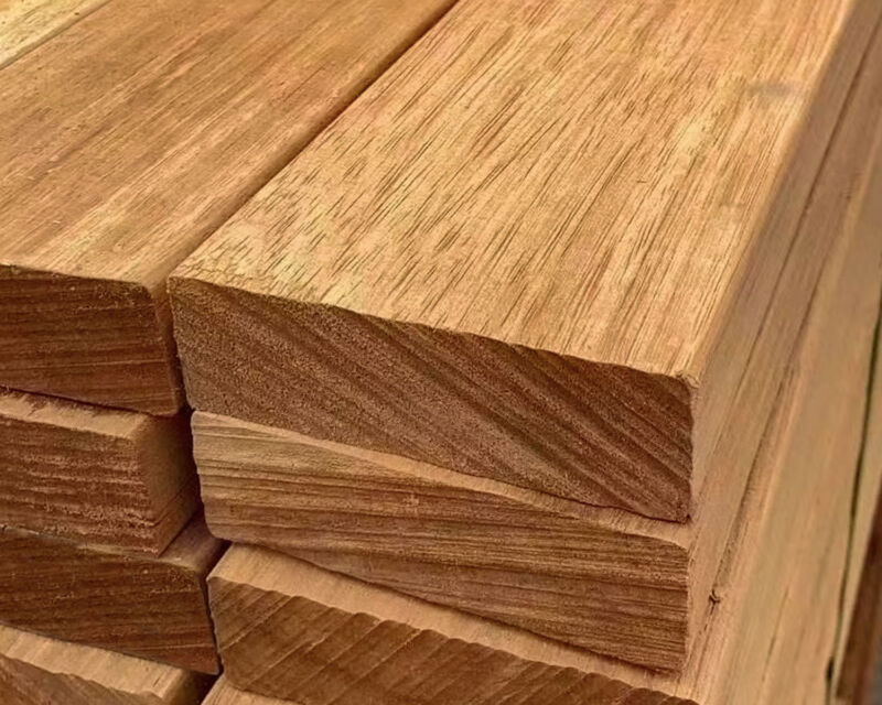 Dabema 02