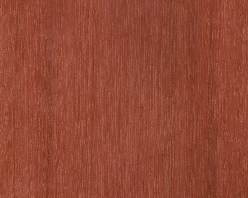Massaranduba 01
