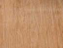 Meranti Multiplex Texture