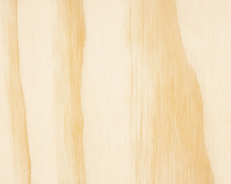 Radiata Pine Texture